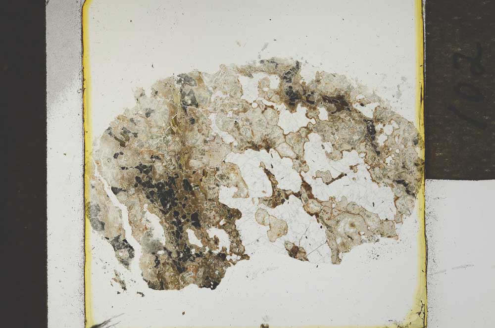 Plane Polarized, S21913