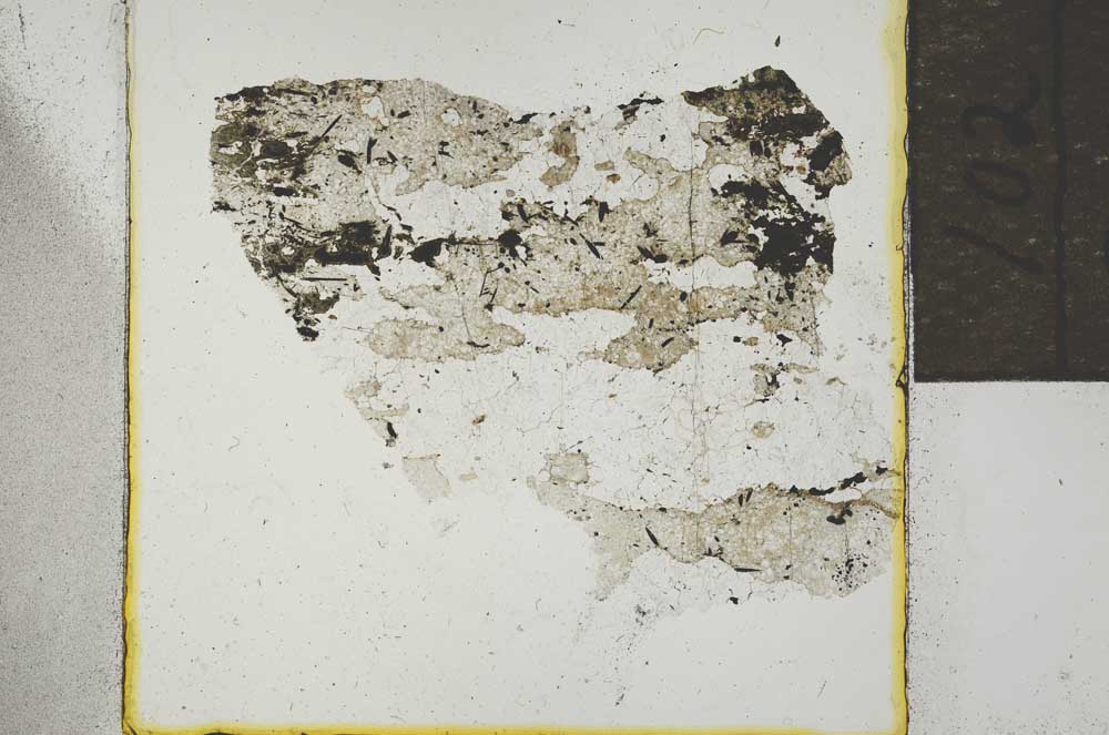 Plane Polarized, S21916