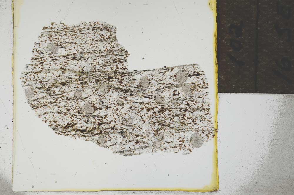 Plane Polarized, S21934