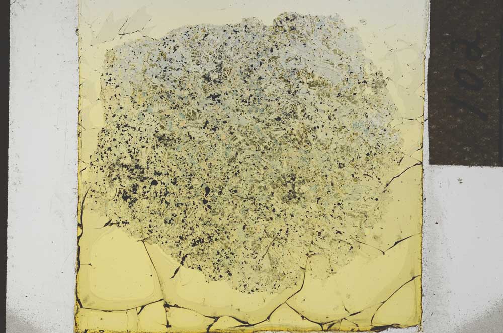 Plane Polarized, S21942