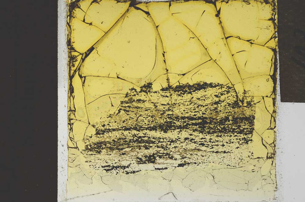 Plane Polarized, S21946