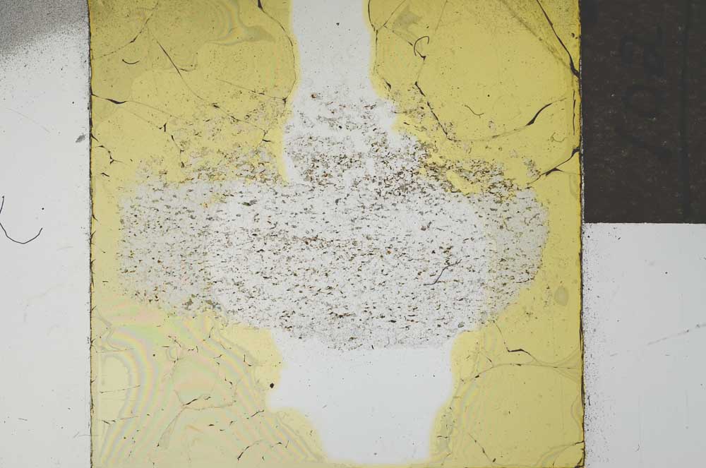 Plane Polarized, S21949