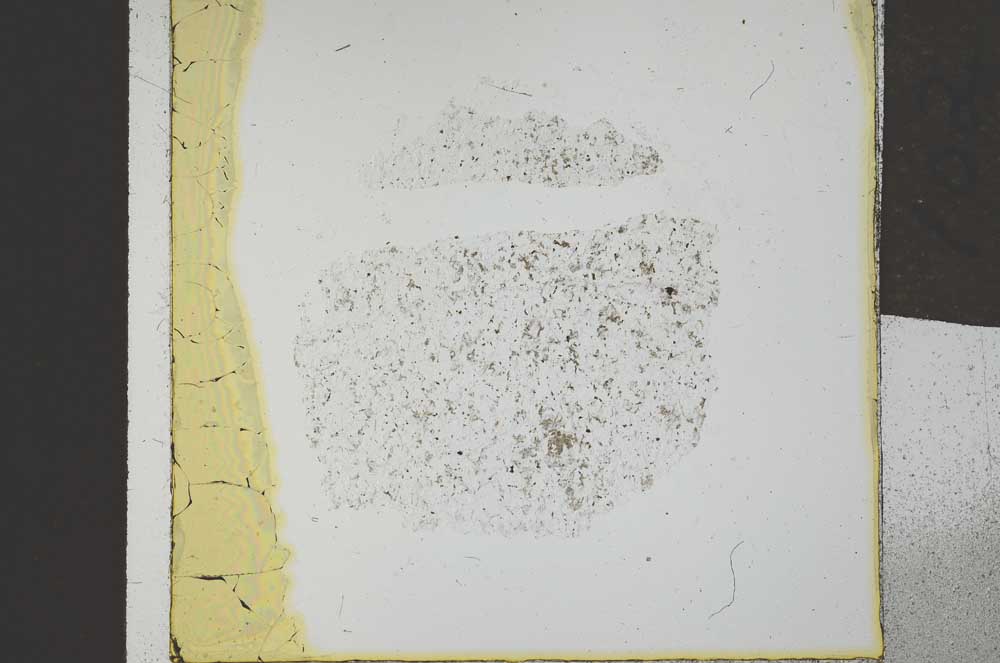 Plane Polarized, S21953