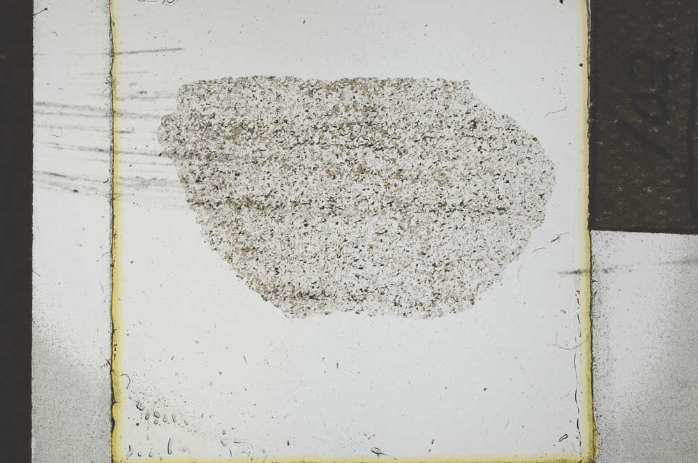 Plane Polarized, S21955