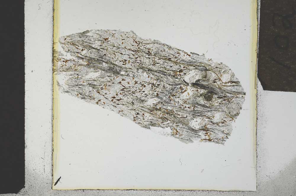 Plane Polarized, S21956