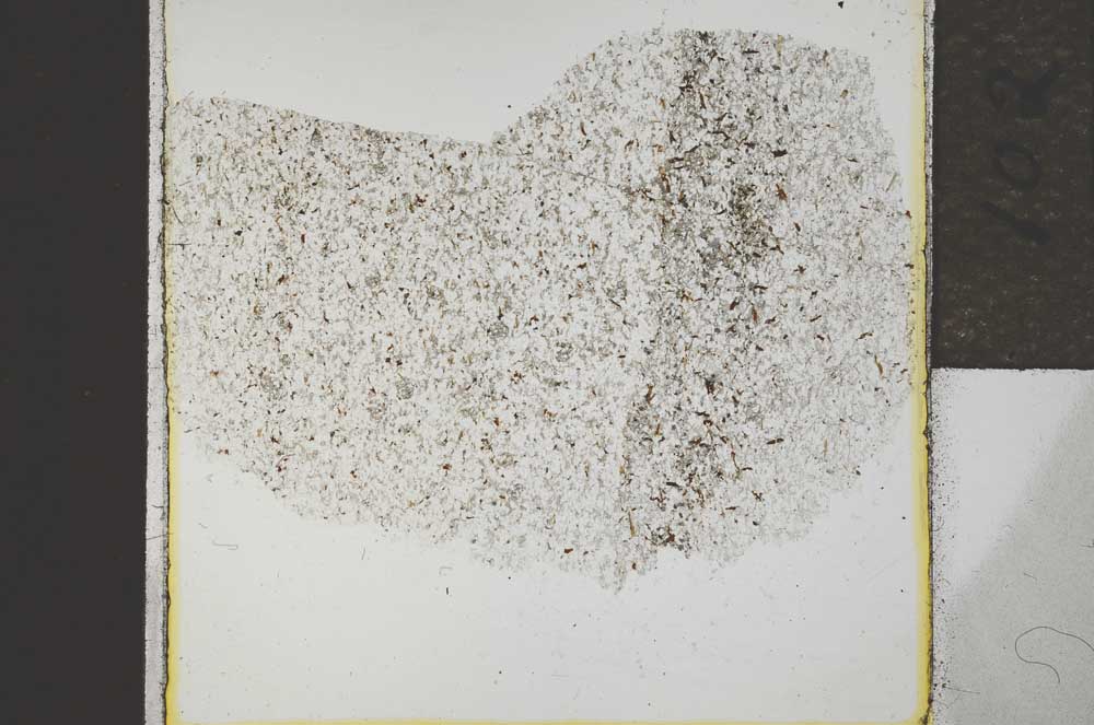 Plane Polarized, S21957