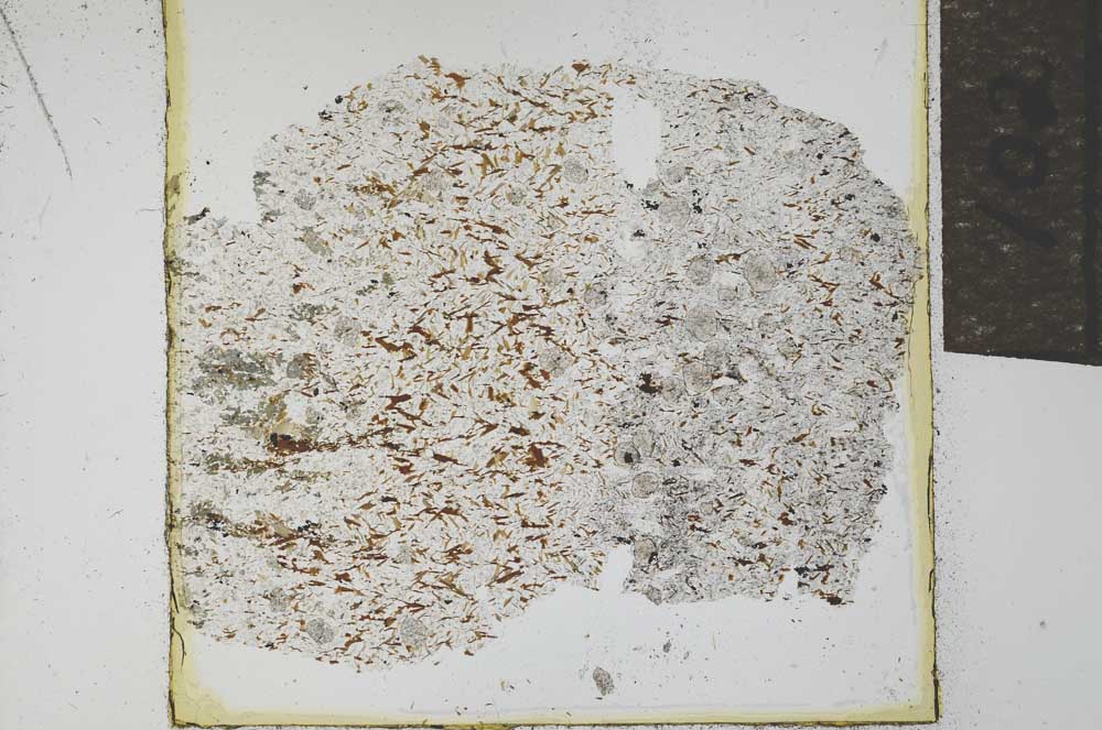 Plane Polarized, S21964