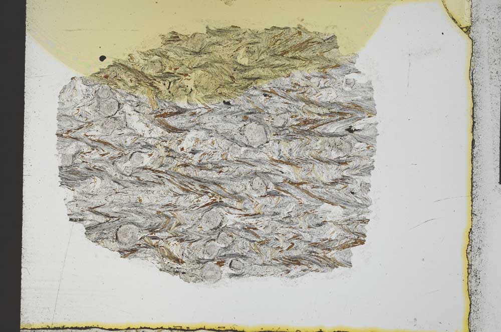 Plane Polarized, S21966/A