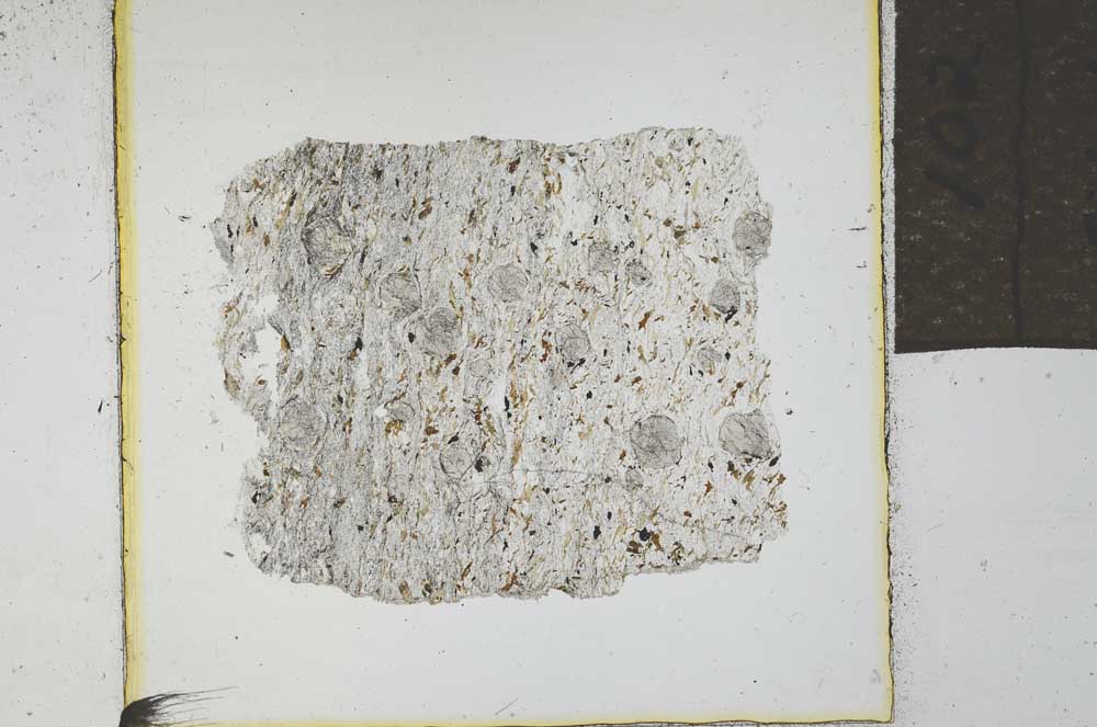 Plane Polarized, S21971