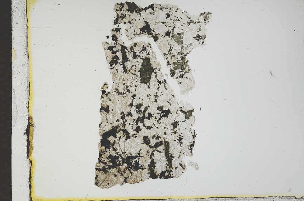 Plane Polarized, S21978