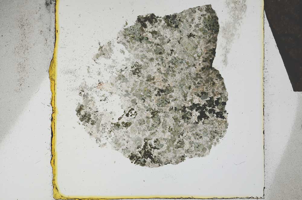 Plane Polarized, S21984