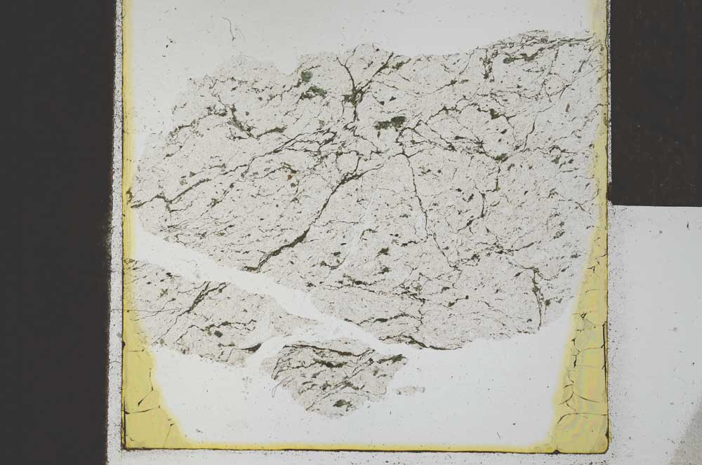 Plane Polarized, S21986