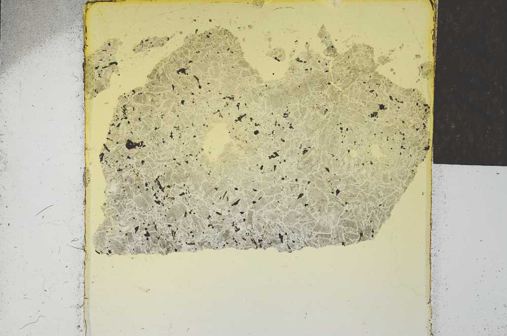 Plane Polarized, S21990