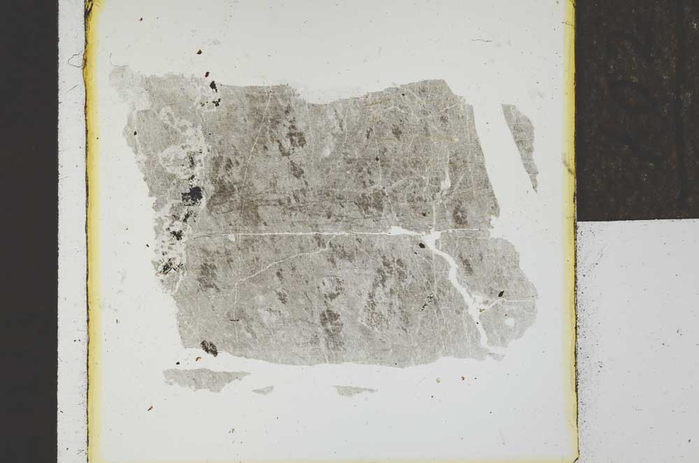 Plane Polarized, S21991