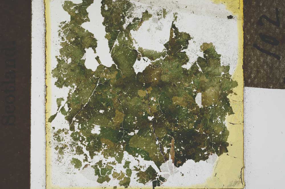 Plane Polarized, S21992