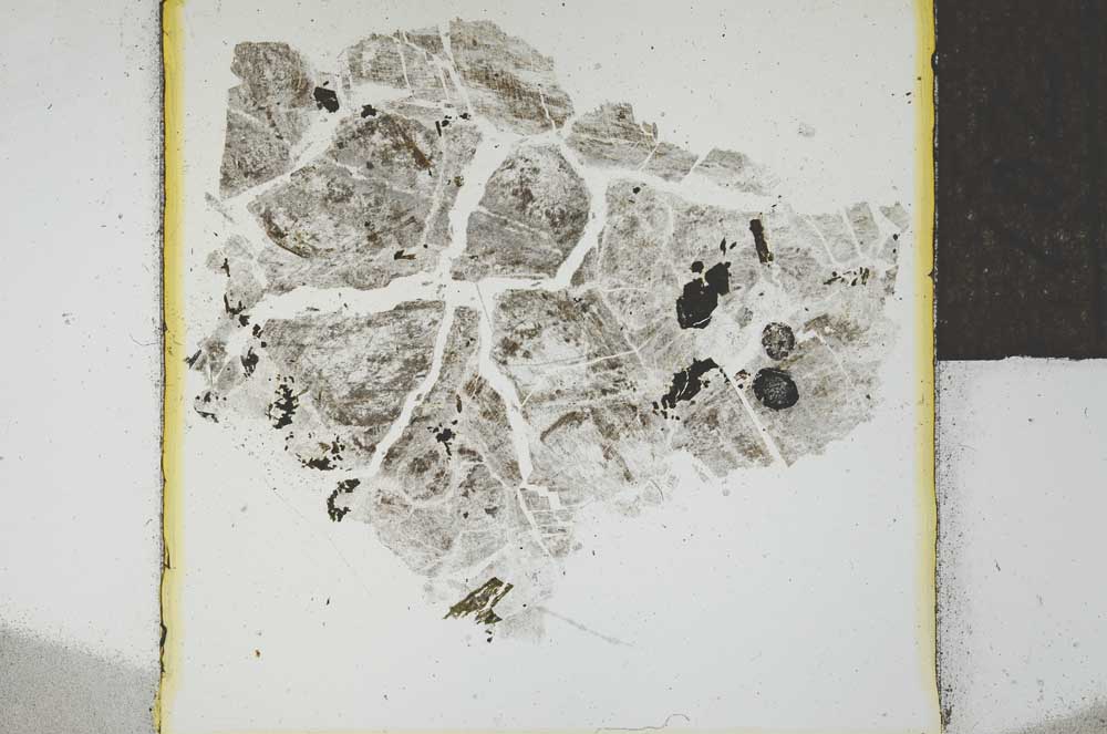 Plane Polarized, S21995