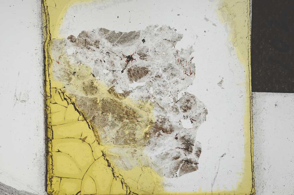 Plane Polarized, S21996