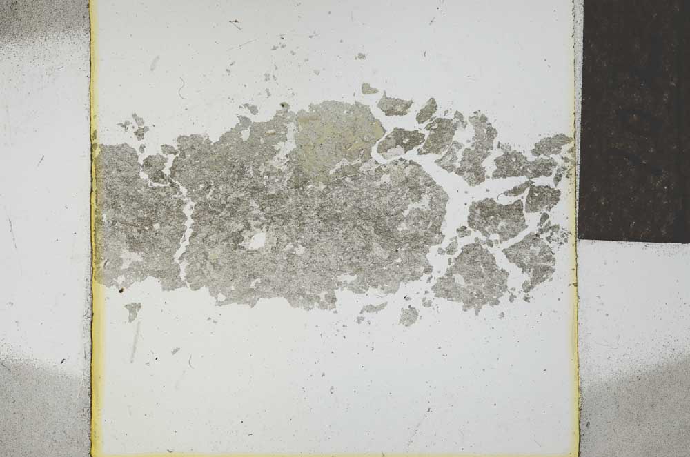 Plane Polarized, S21997