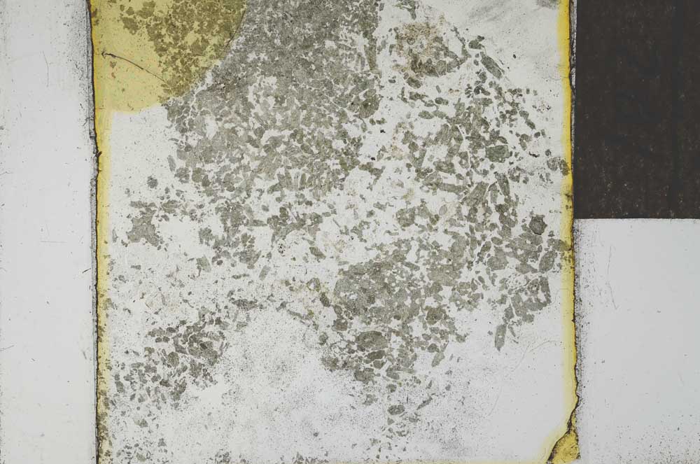 Plane Polarized, S21998