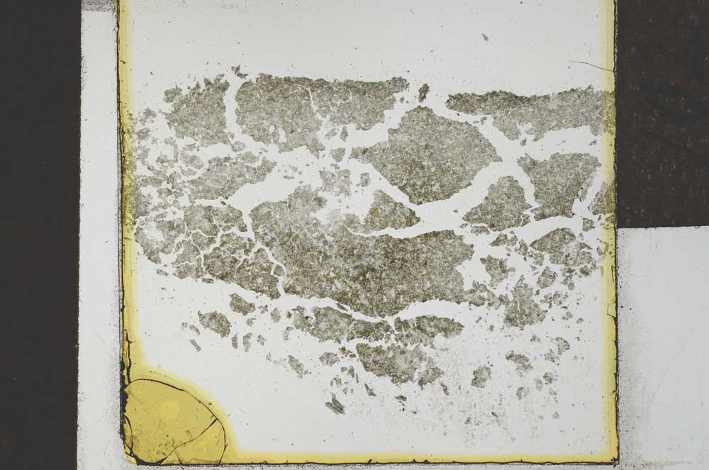Plane Polarized, S22004