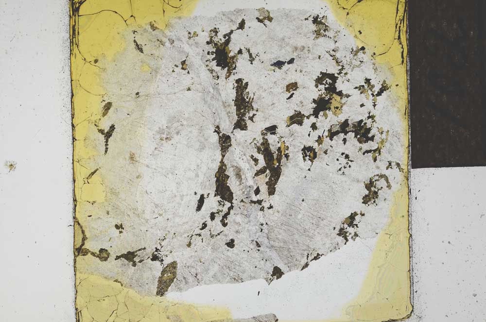 Plane Polarized, S22006