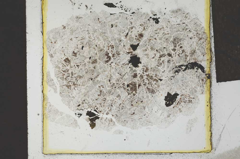Plane Polarized, S22011
