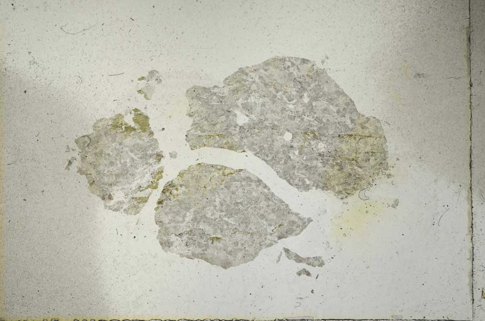 Plane Polarized, S22021