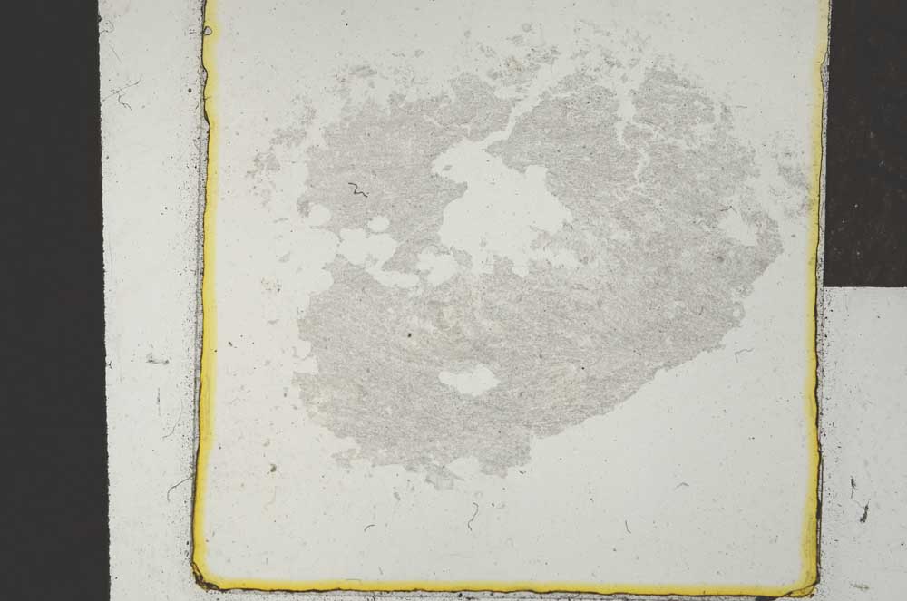 Plane Polarized, S22023