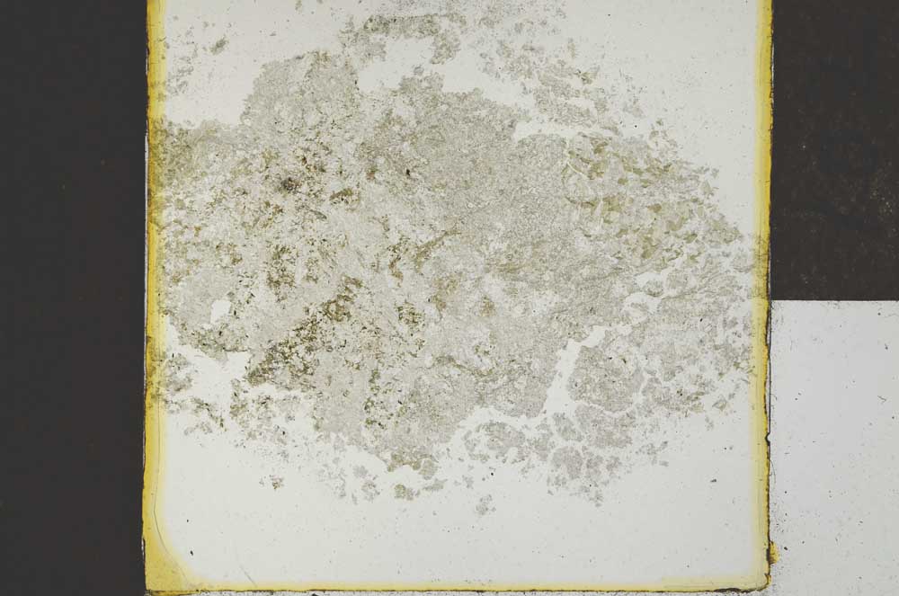 Plane Polarized, S22025