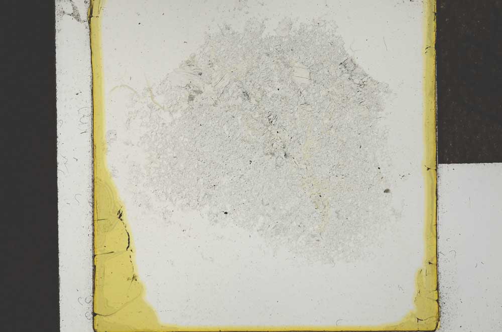 Plane Polarized, S22026