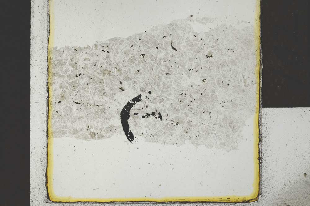 Plane Polarized, S22027