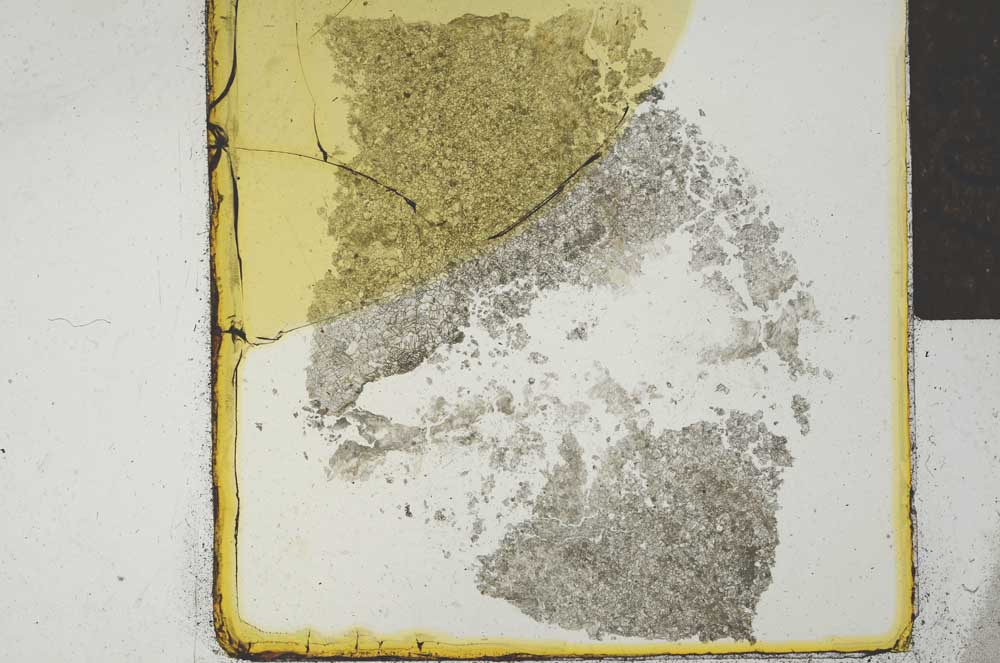 Plane Polarized, S22028