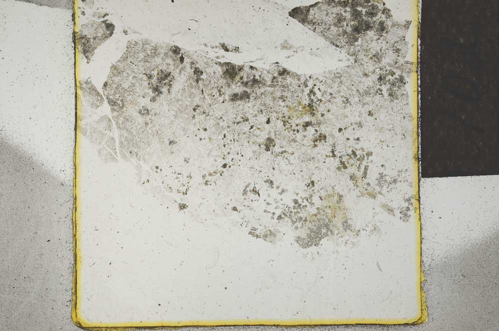 Plane Polarized, S22030