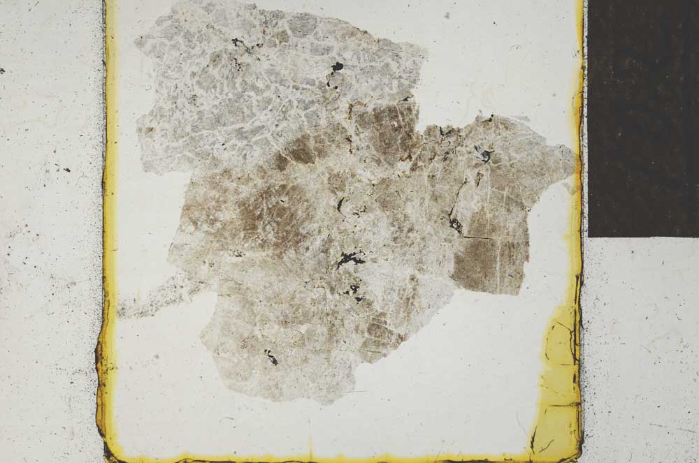 Plane Polarized, S22034