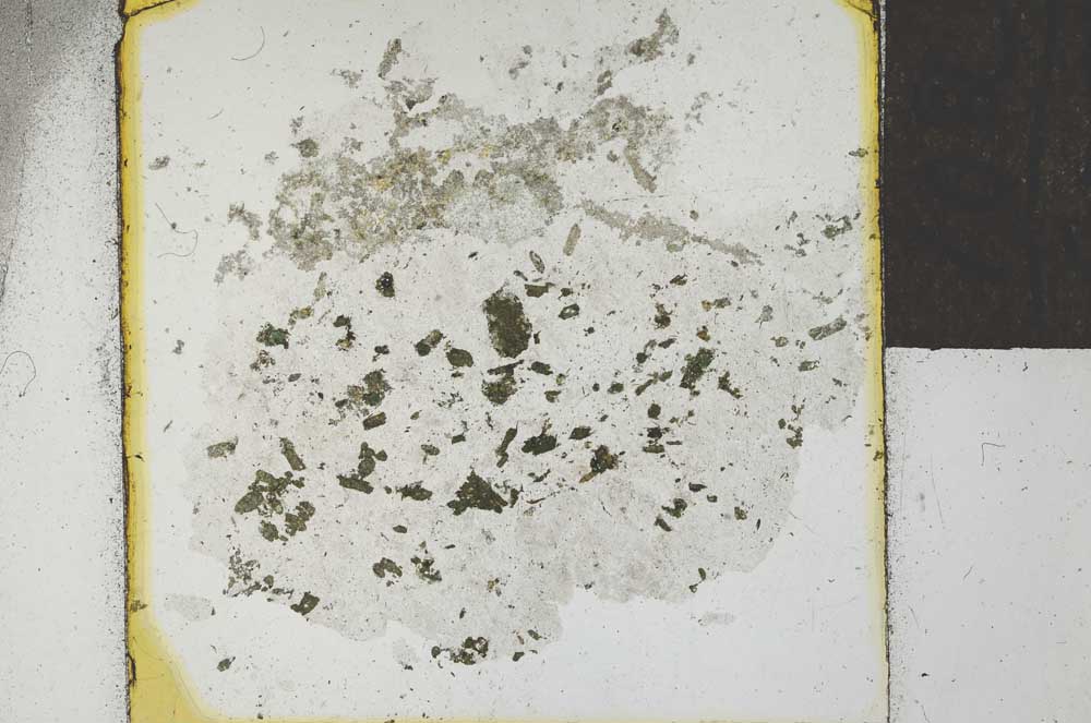 Plane Polarized, S22035