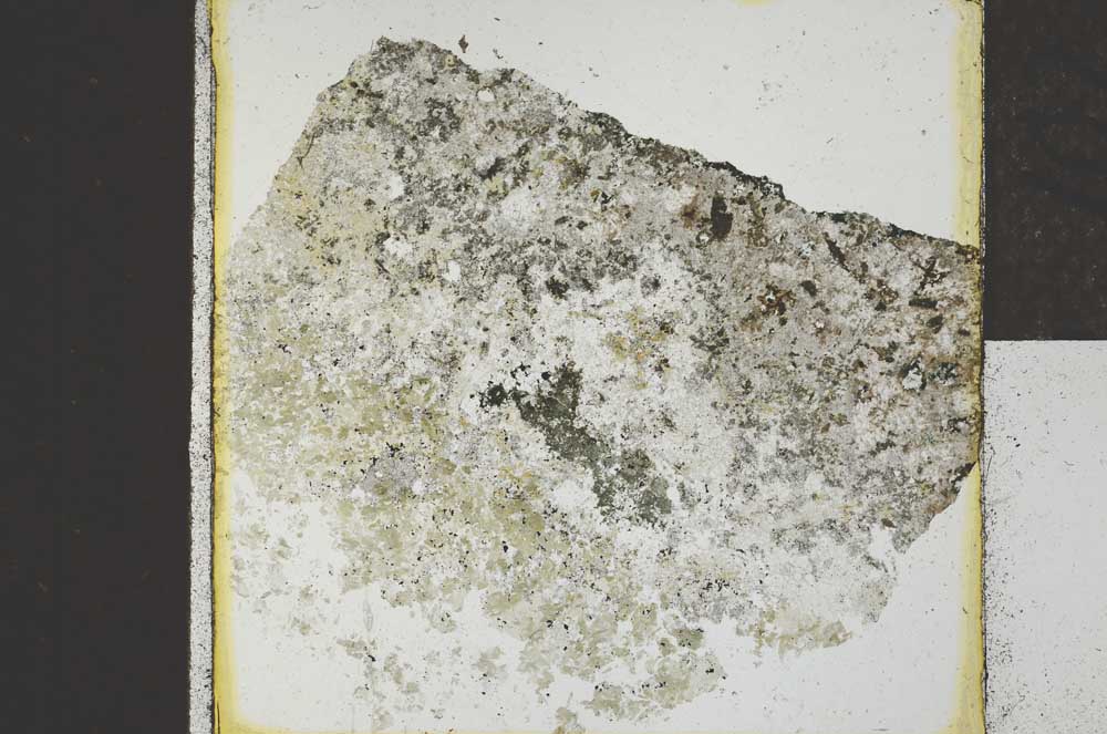 Plane Polarized, S22036