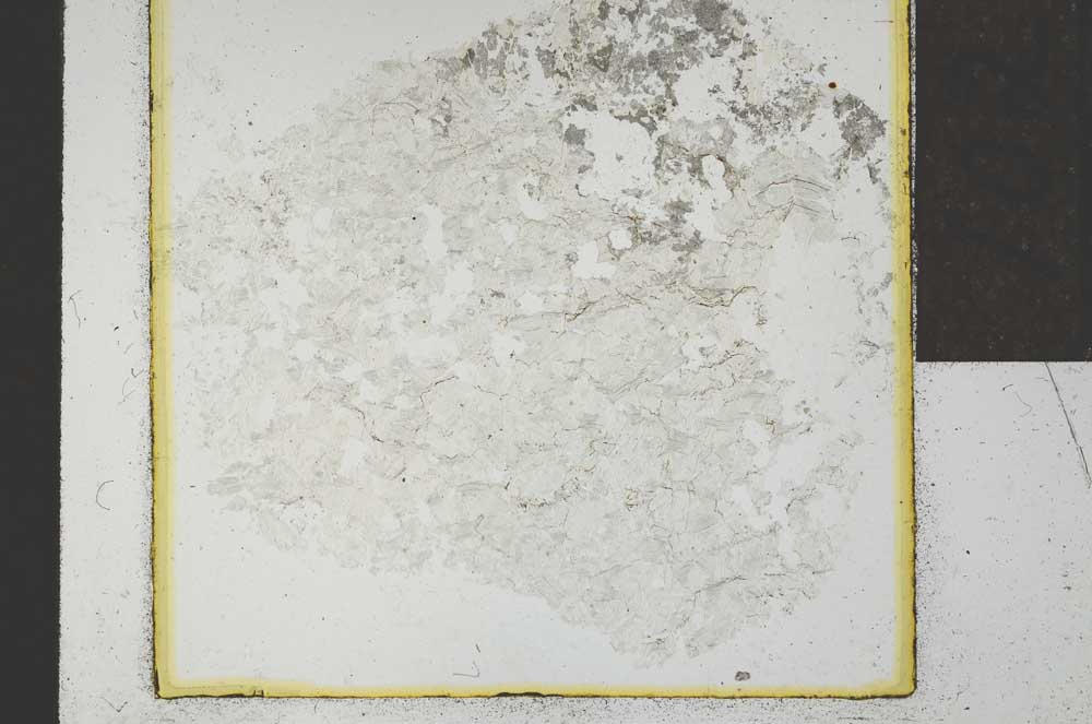 Plane Polarized, S22037