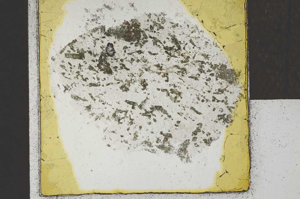 Plane Polarized, S22038