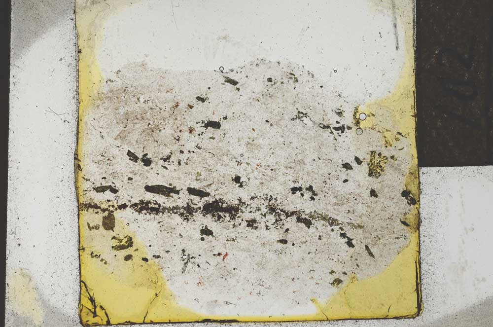 Plane Polarized, S22039