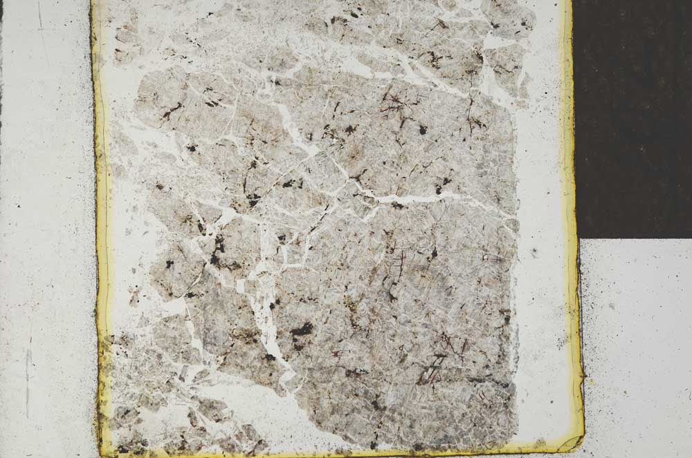 Plane Polarized, S22047