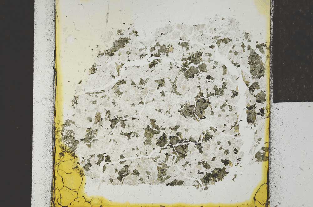 Plane Polarized, S22048