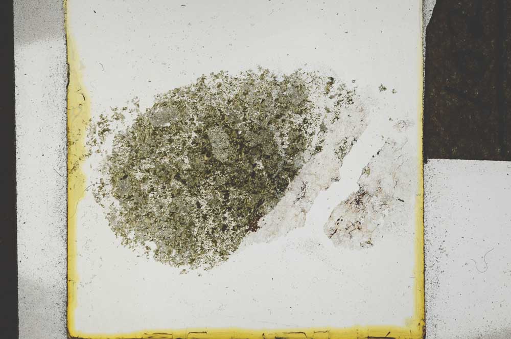 Plane Polarized, S22049