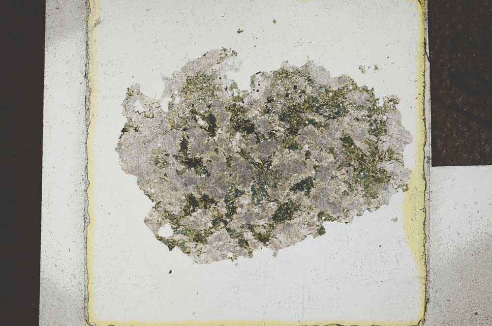 Plane Polarized, S22051