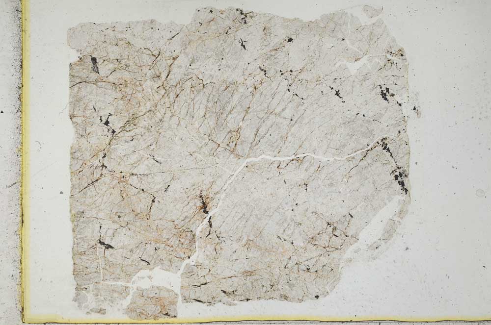 Plane Polarized, S22052
