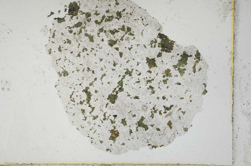 Plane Polarized, S22054