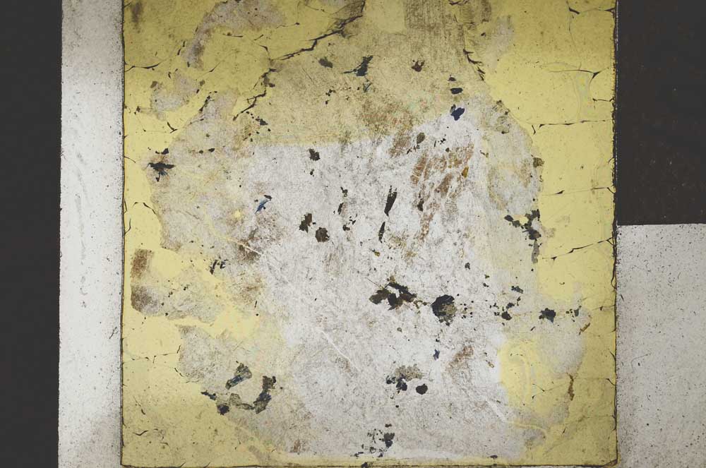 Plane Polarized, S22055