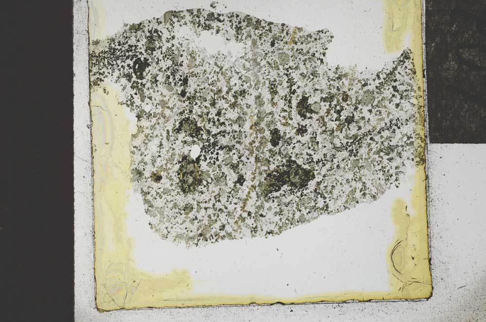 Plane Polarized, S22058