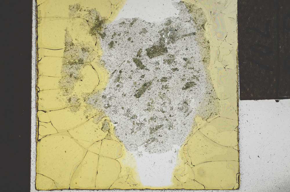 Plane Polarized, S22061