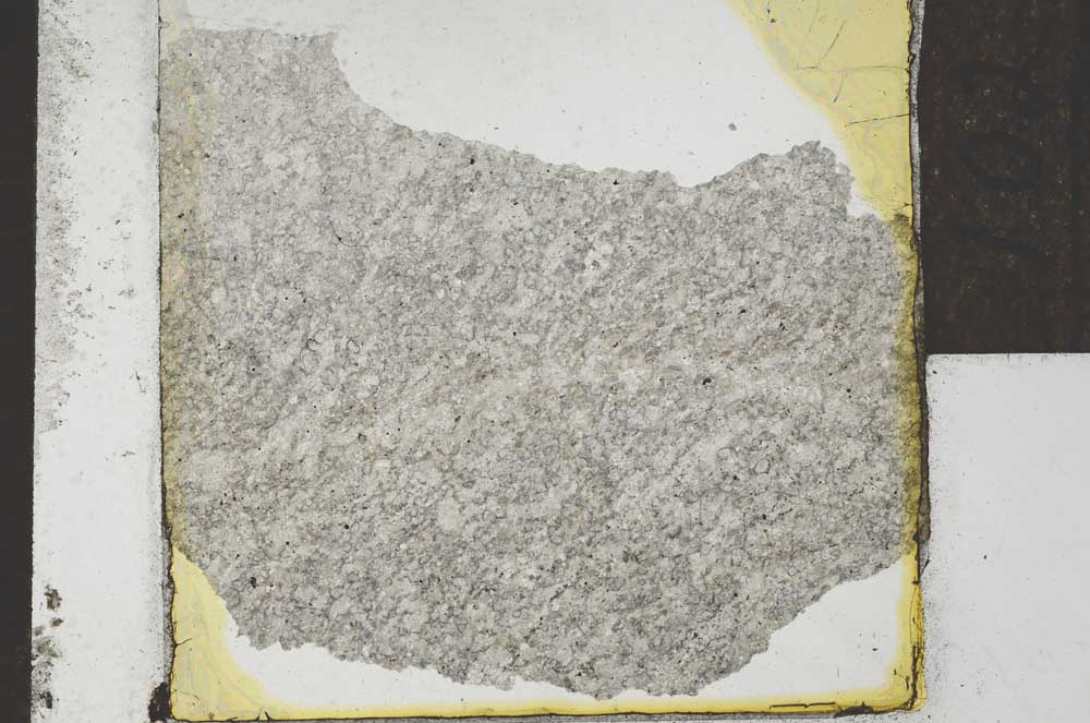 Plane Polarized, S22062