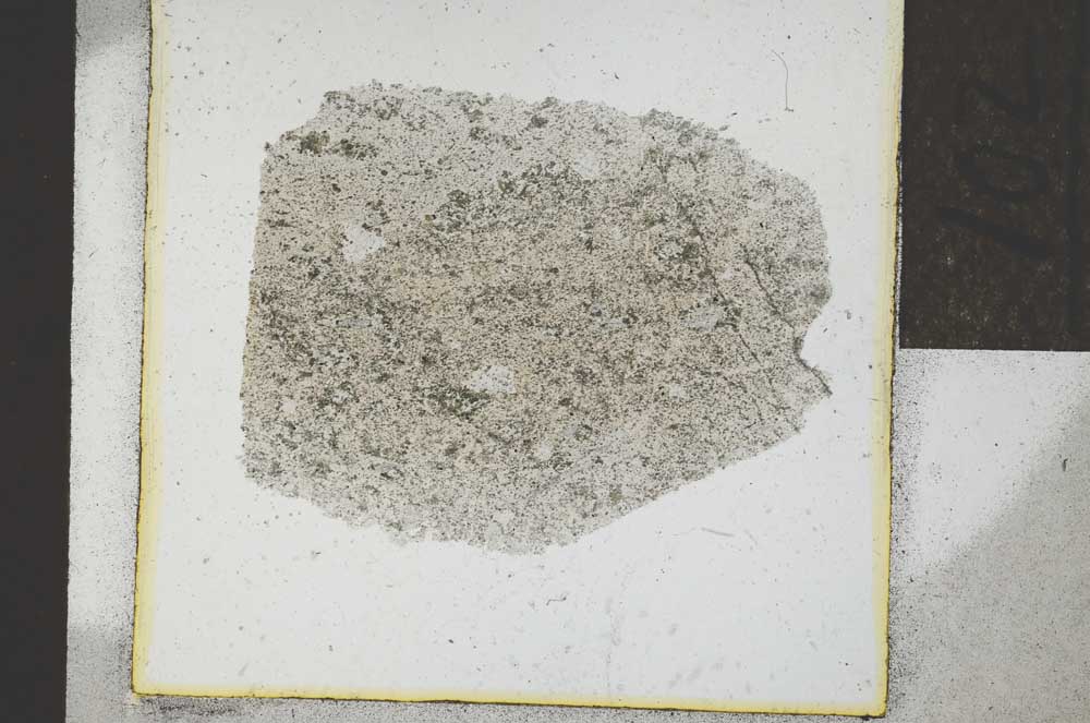 Plane Polarized, S22065